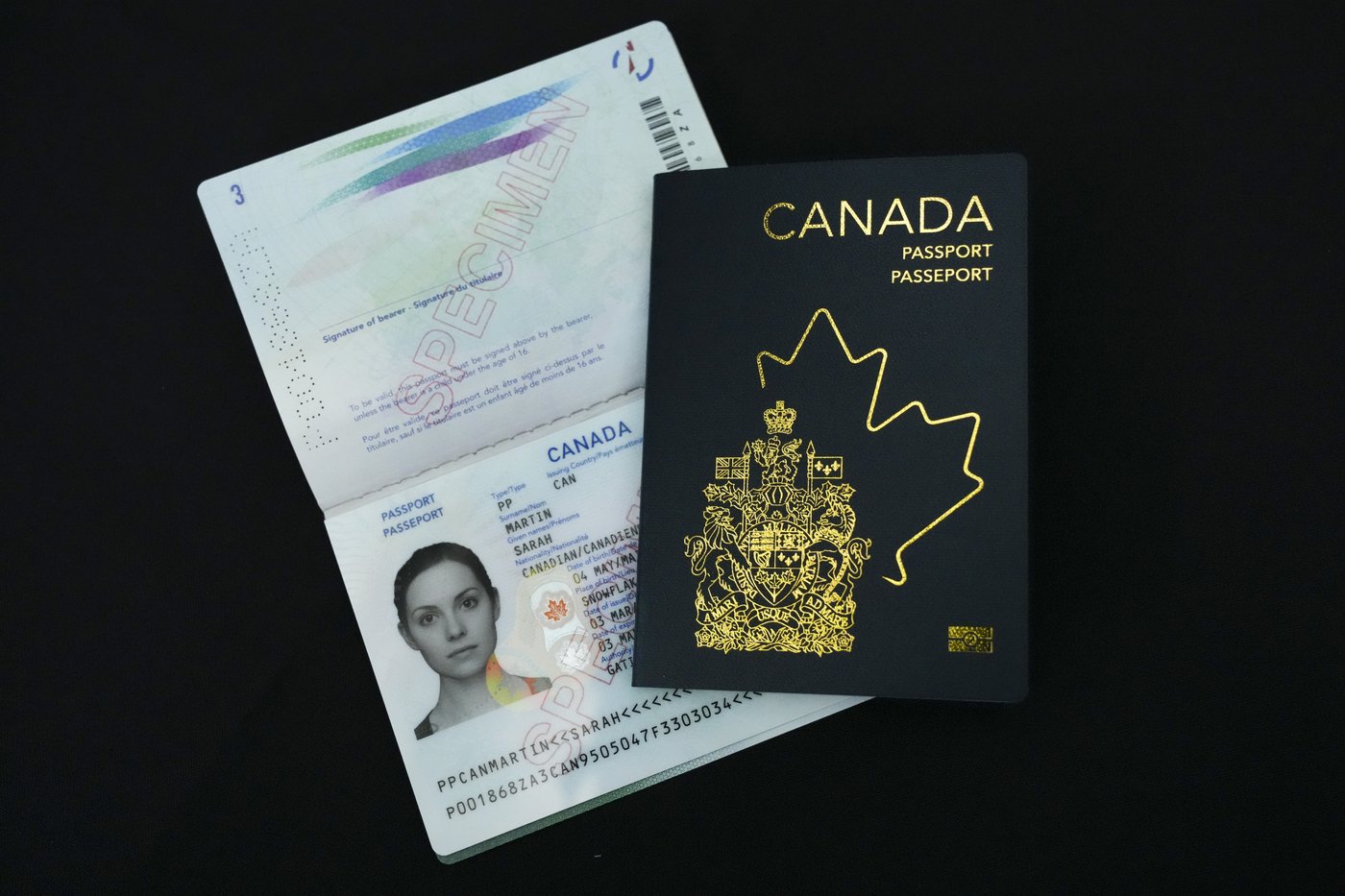 Un comité recommande des exigences en plus pour les «Canadiens perdus»