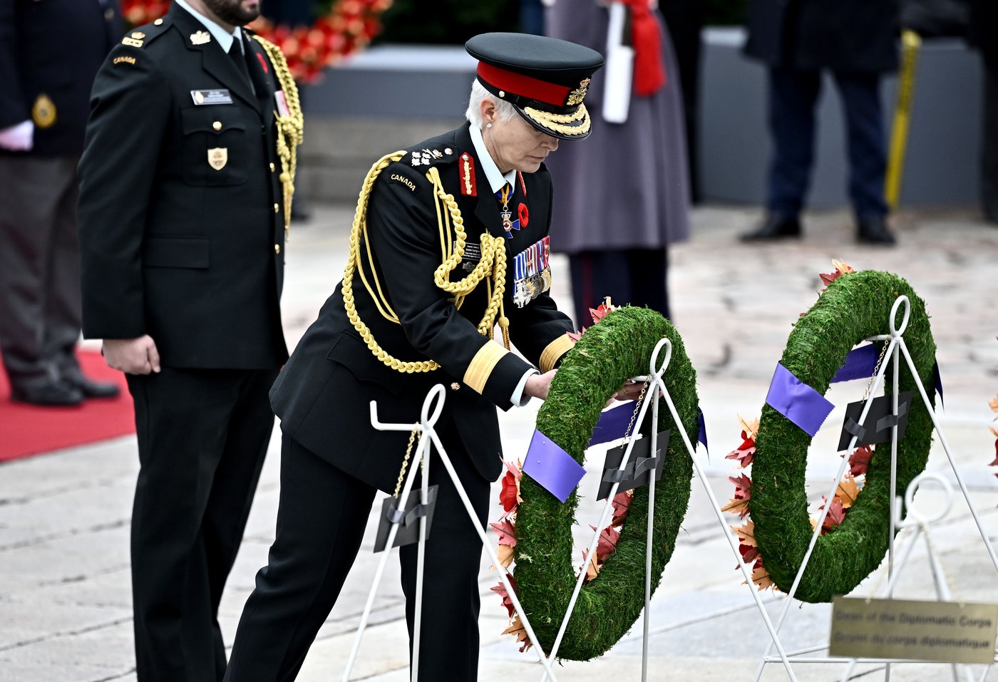 Jour du Souvenir: le nombre de vétérans canadiens survivants diminue