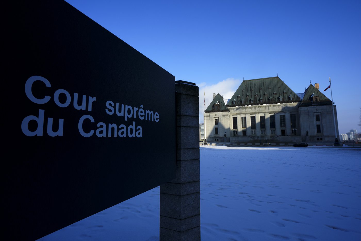 La Cour suprême rejette l'appel d'une mère qui voulait bloquer l'adoption de son fils
