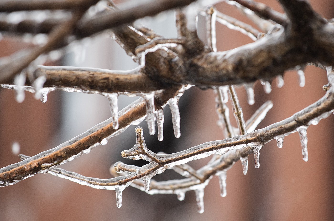 Le Québec se prépare à l'arrivée du cocktail météo «potentiellement critique»