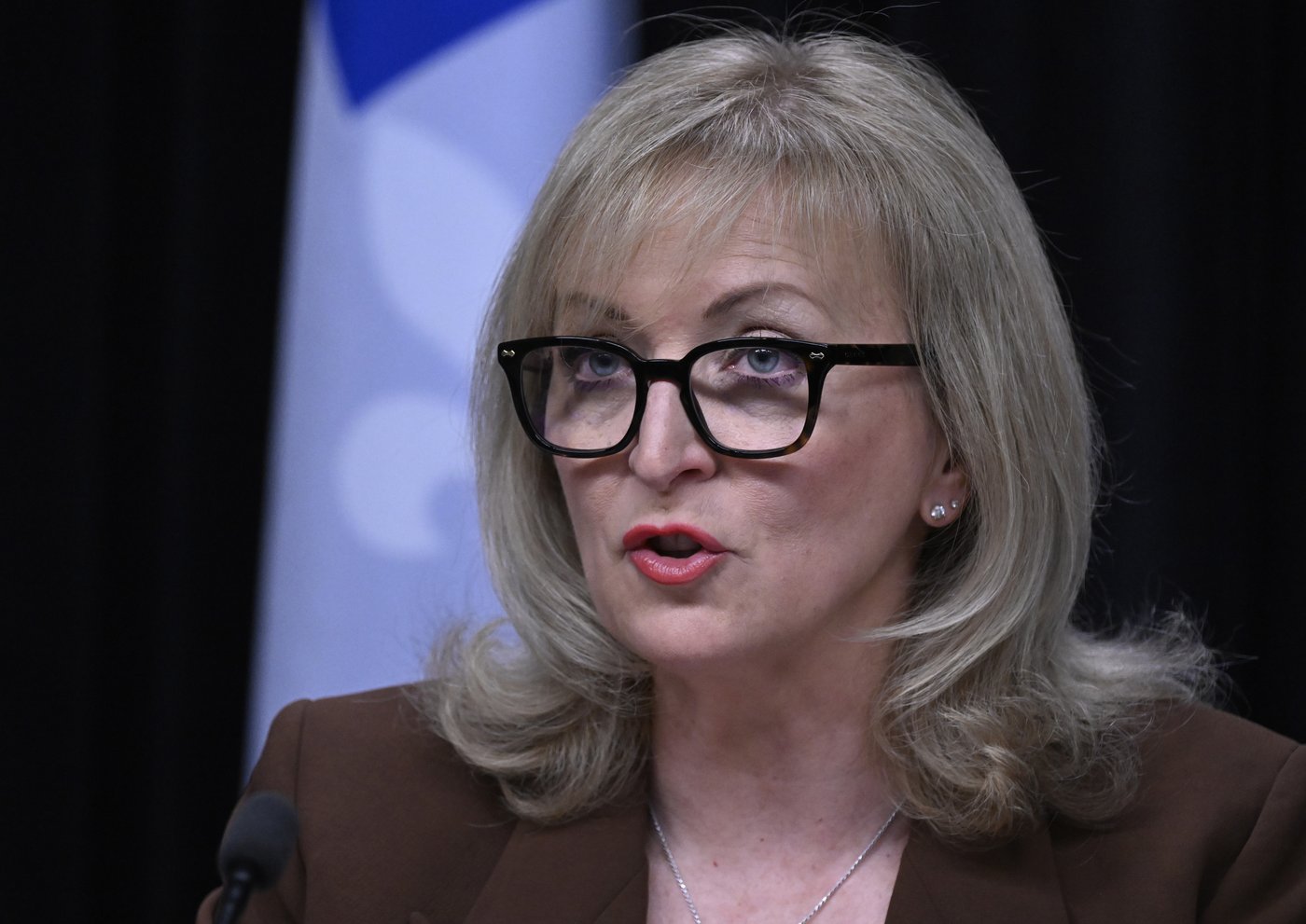 La commissaire au développement durable critique la gestion des infrastructures d’eau