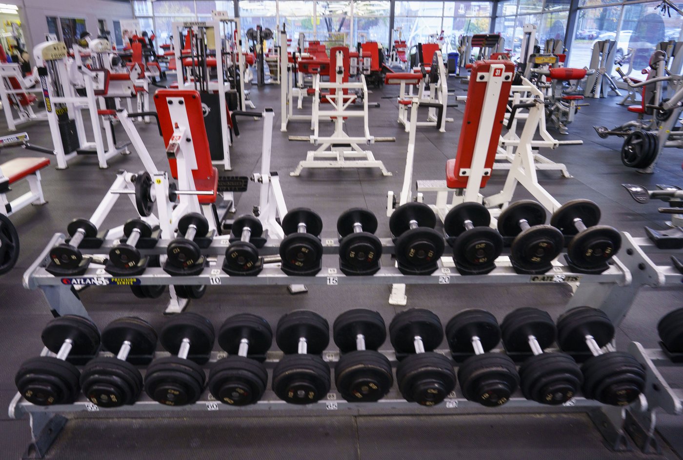 La formation des muscles squelettiques est un peu mieux comprise