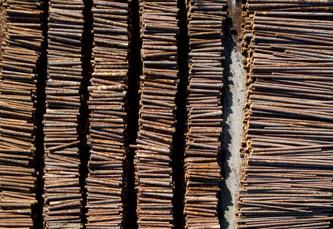 Fermeture d'une scierie: 350 travailleurs touchés; Domtar parle d'une crise