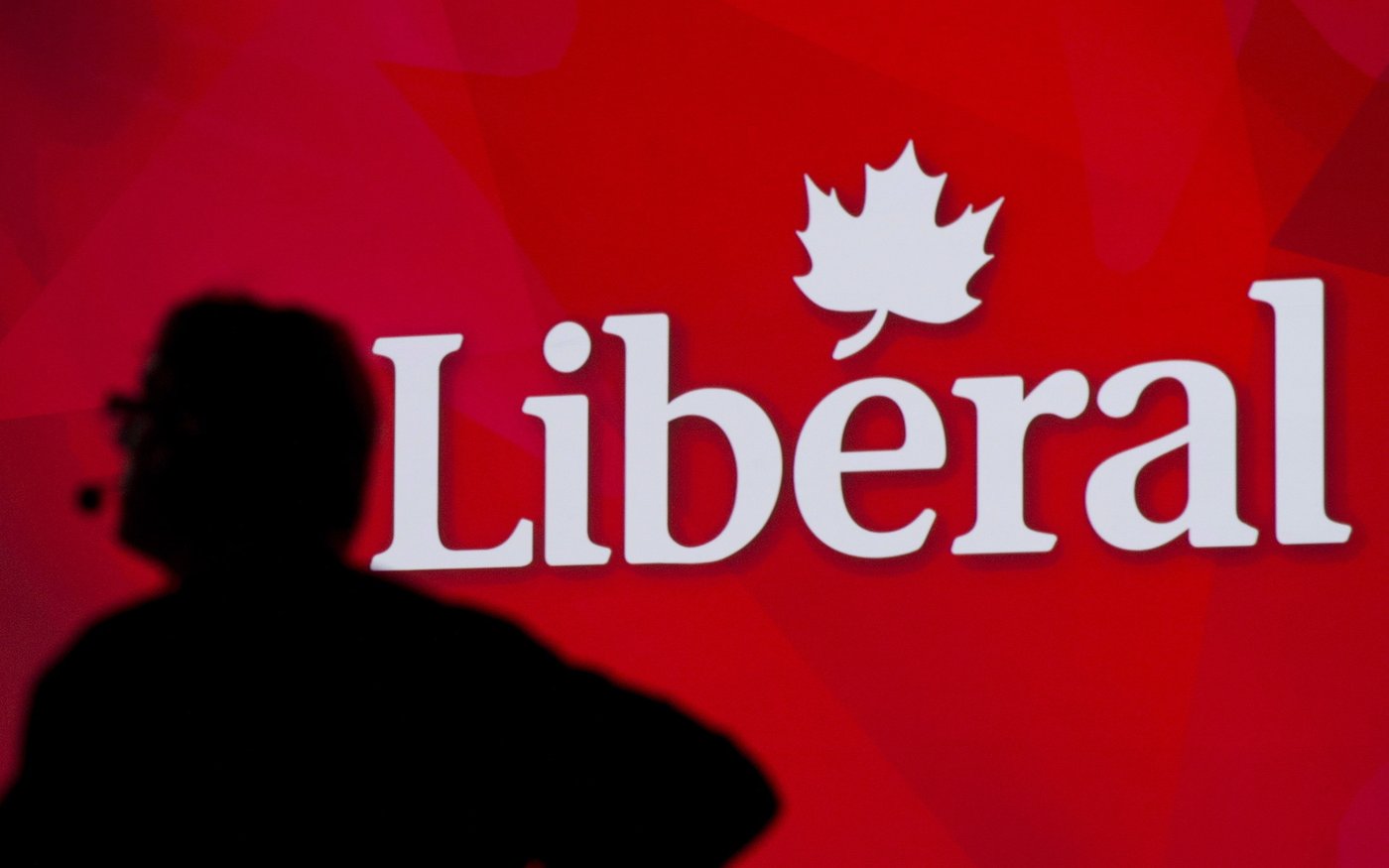 Danielle Martin se présente pour le PLC dans l'ancien comté de Freeland