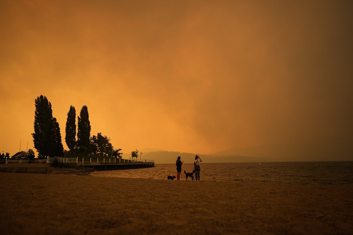 Les feux de forêt de 2023 ont aggravé la pollution de l'air au Canada