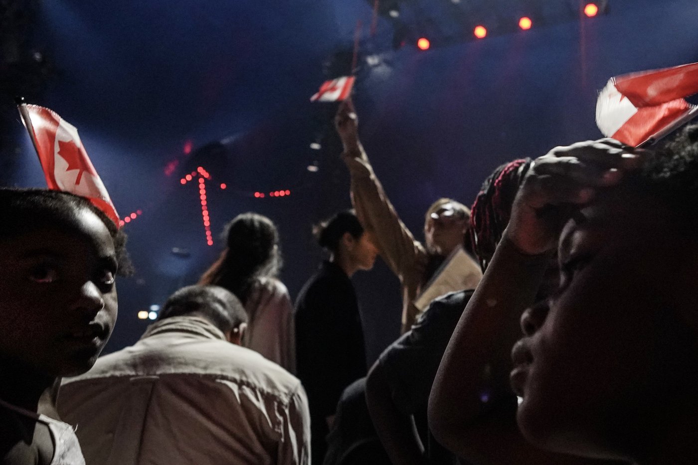 Immigration: l'automatisation responsable de l'arriéré de la Cour fédérale