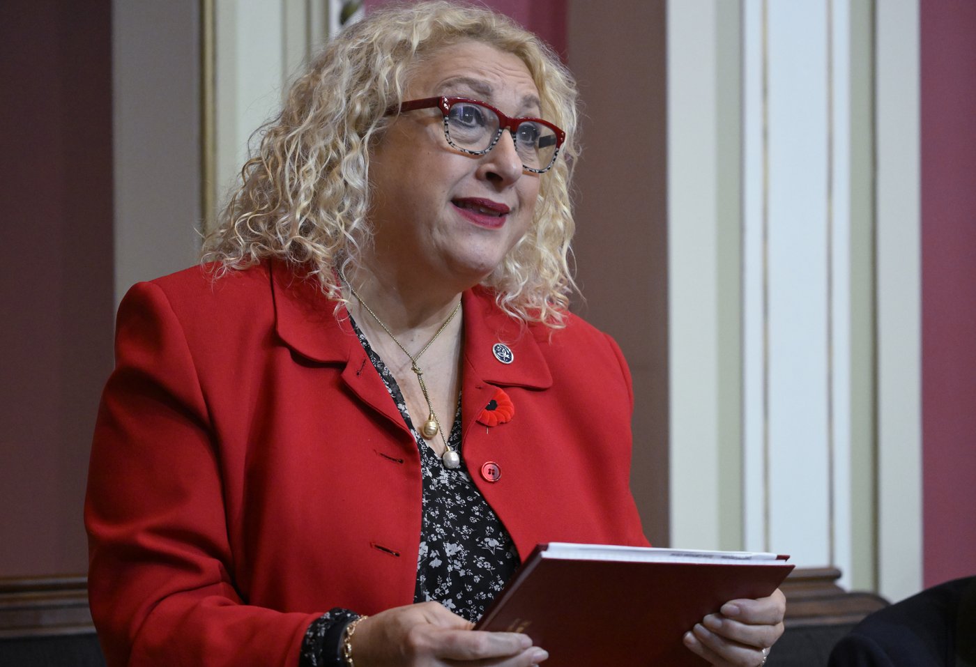 En larmes, Sona Lakhoyan Olivier présente ses excuses à l'Assemblée nationale