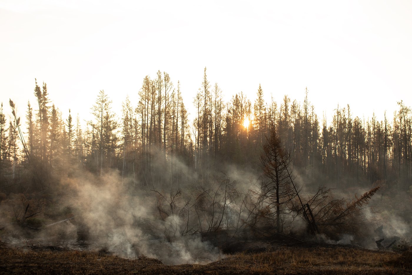 Une autre communauté des Territoires du Nord-Ouest évacuée à cause d'un feu de forêt