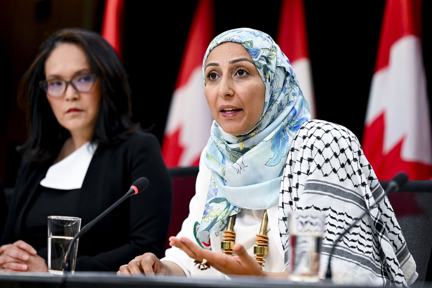 Des militants de la flottille exhortent Ottawa à faire pression sur Israël
