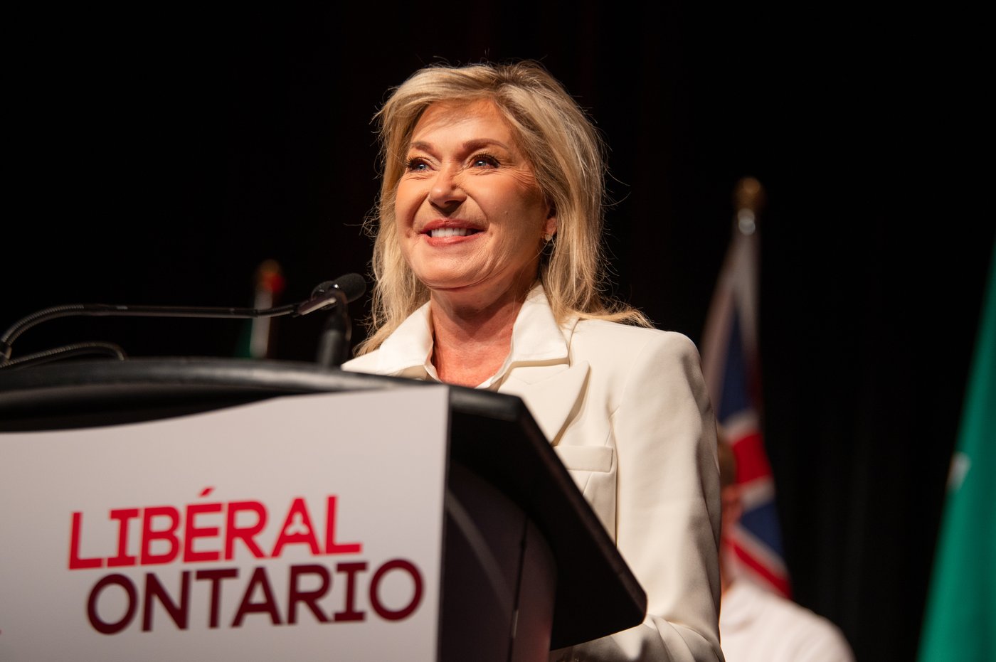 Le Parti libéral de l'Ontario amorce la recherche d'un nouveau chef