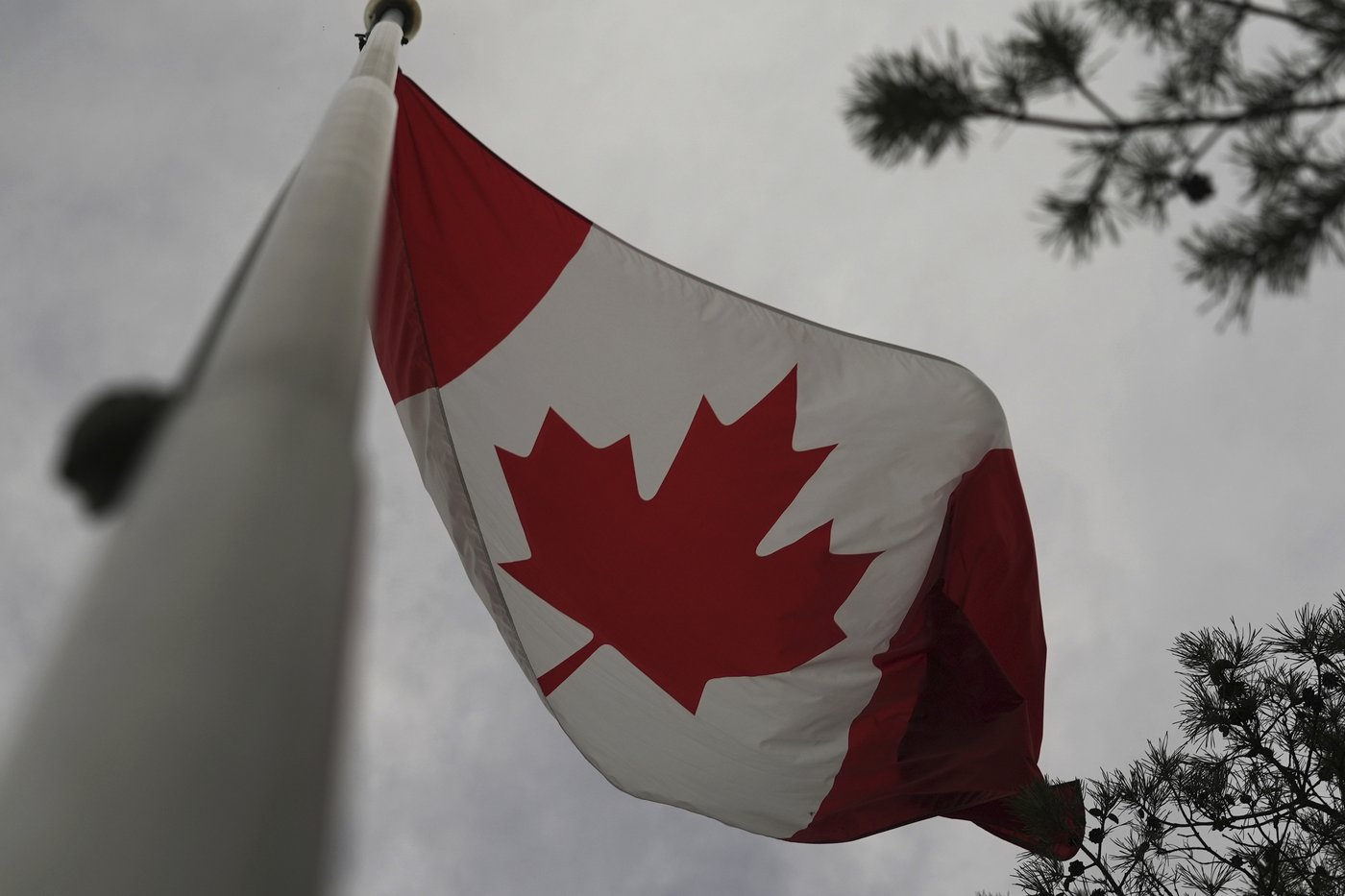 Le projet de loi sur les «Canadiens perdus» est adopté par le Sénat sans amendement