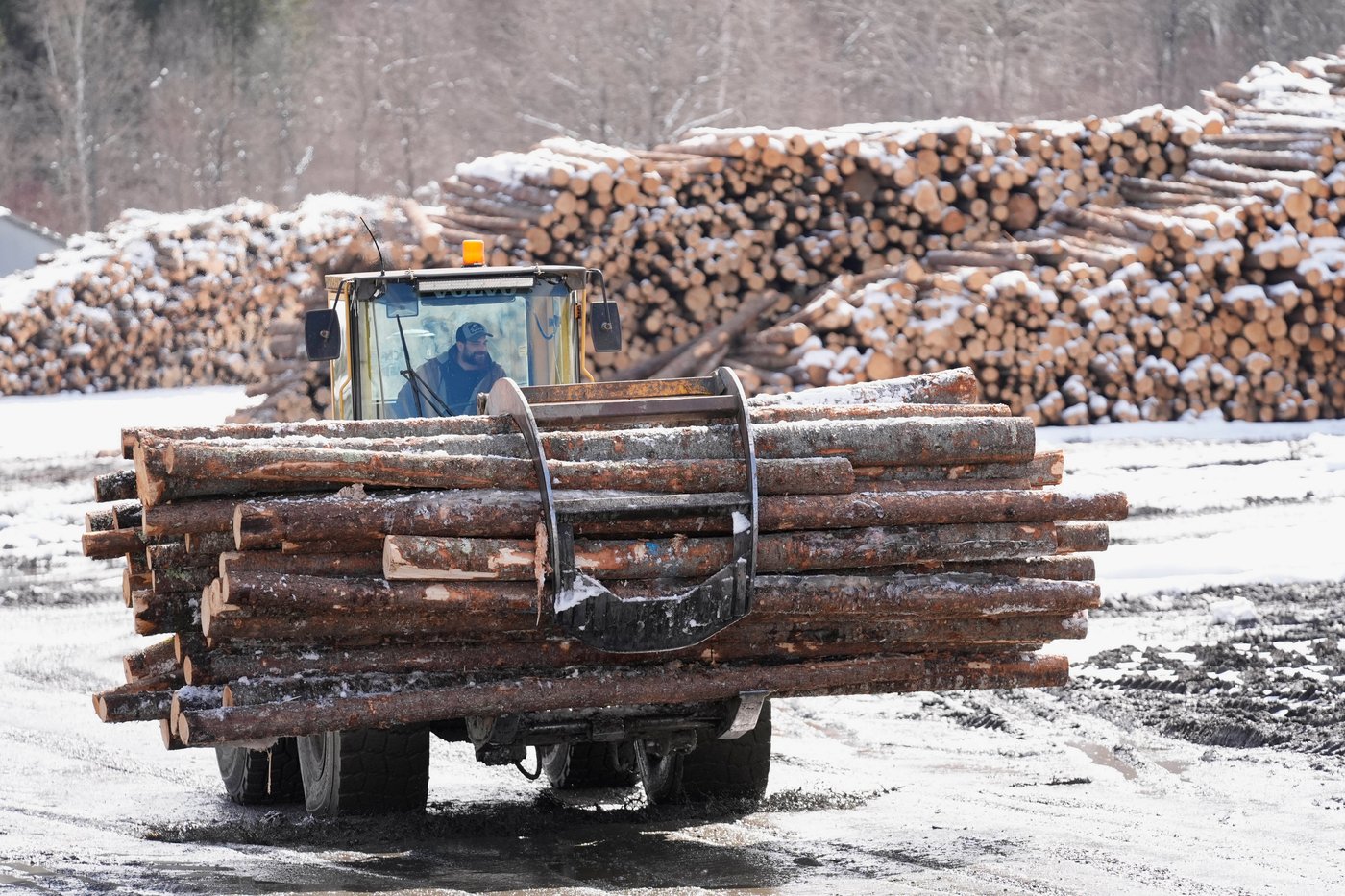 Première réunion du groupe de travail fédéral sur l'industrie forestière