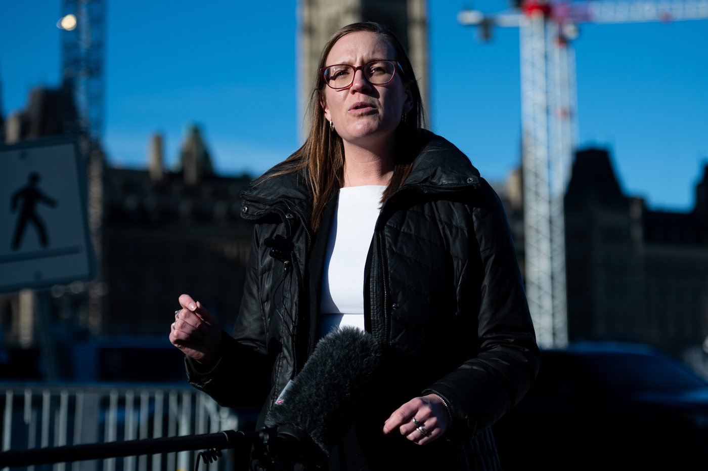 La députée libérale Gould renonce à se présenter à la direction du parti ontarien