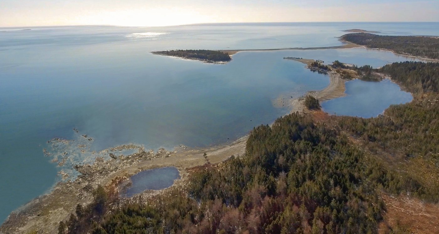 Début du projet de sanctuaire pour les baleines en Nouvelle-Écosse