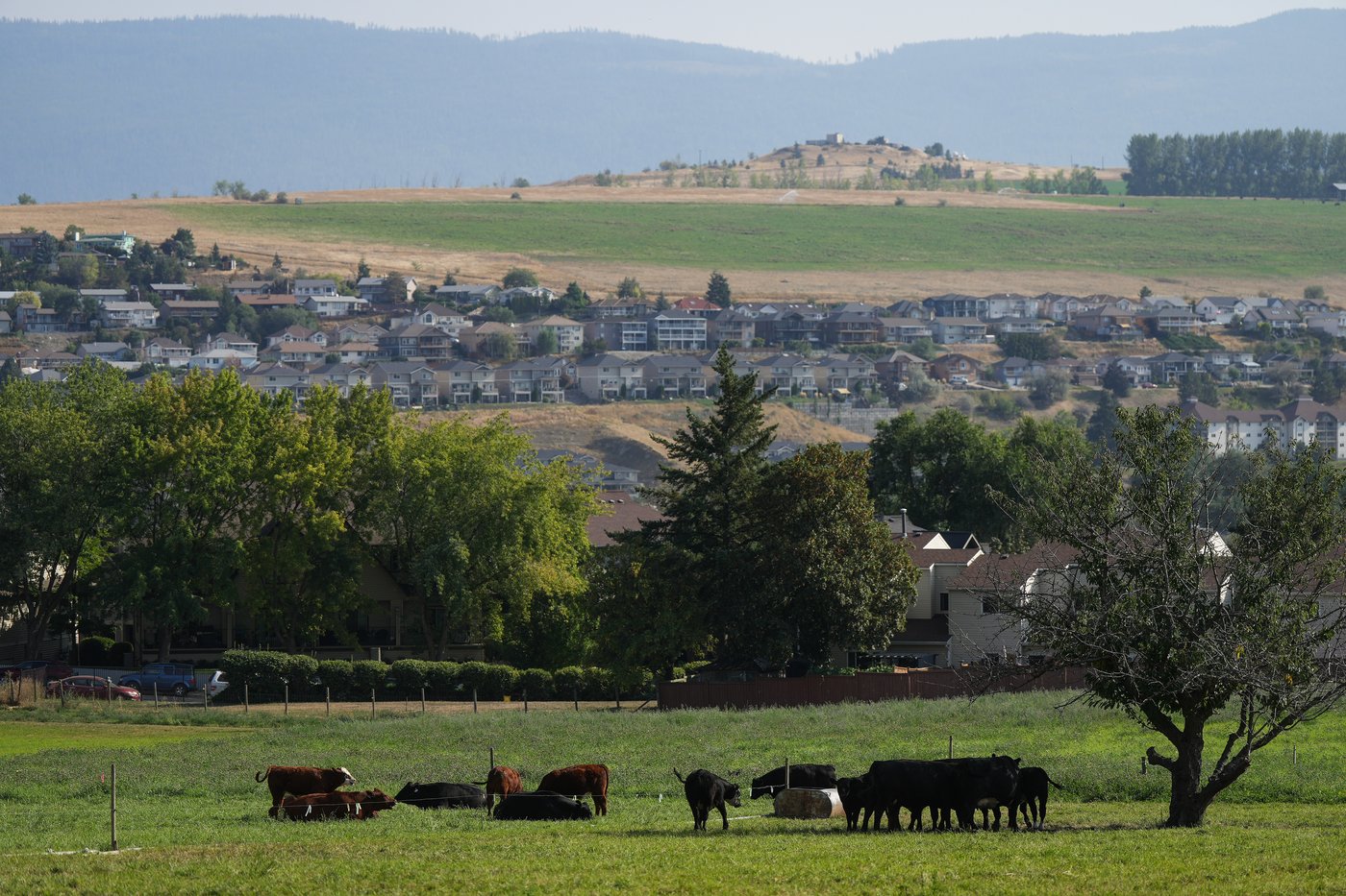 Les collectivités font état d'une forte demande pour un programme en milieu rural
