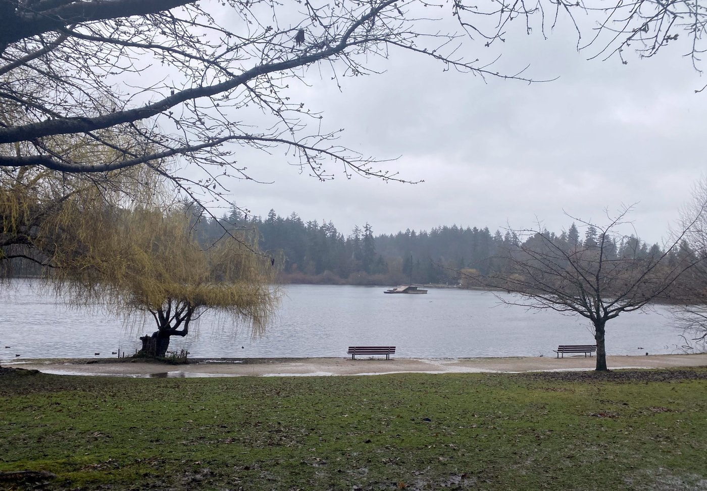 Le Lost Lagoon de Vancouver est sur le point d'être reconnecté à l'océan