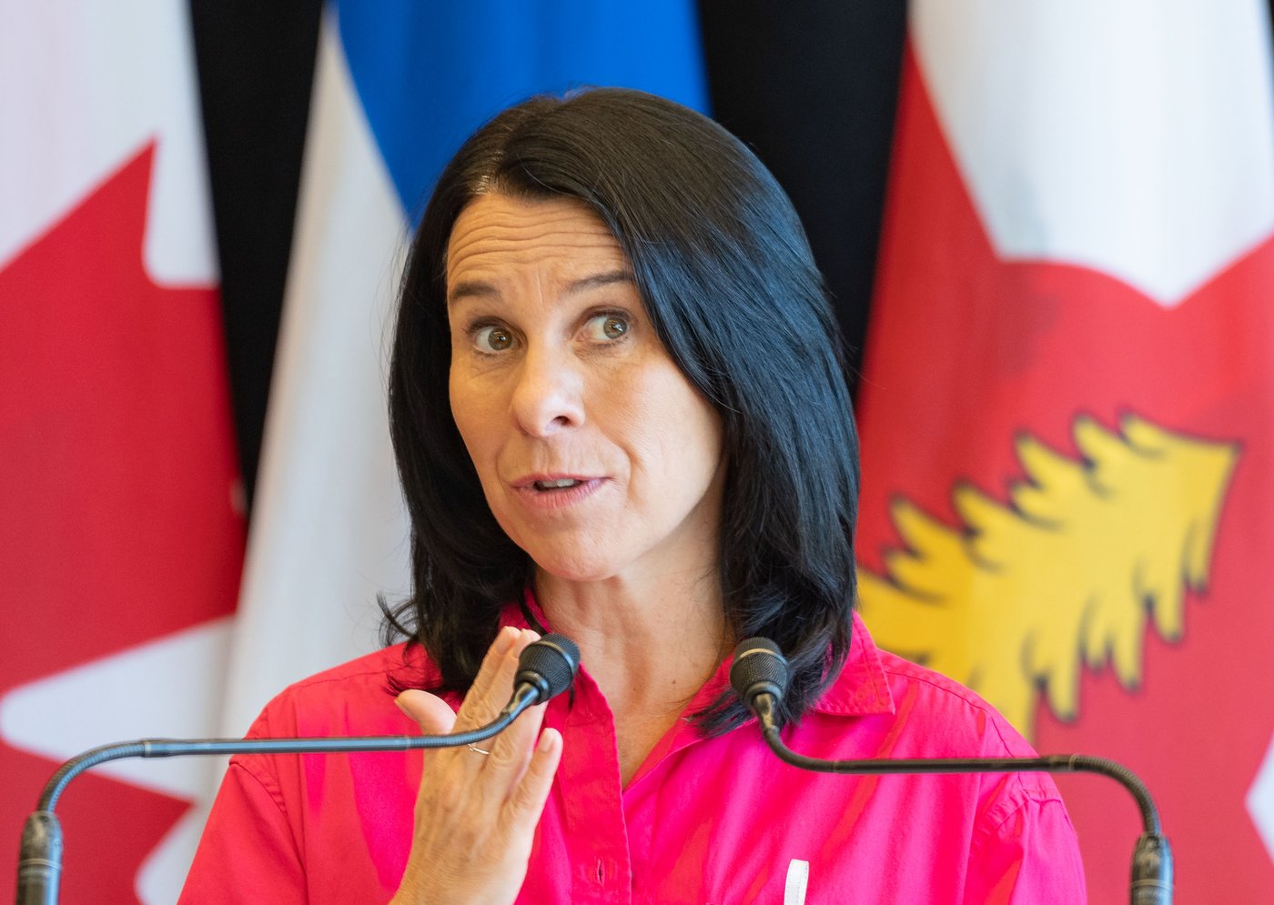 Valérie Plante veut un «top gun» de l'itinérance dans la foulée du remaniement