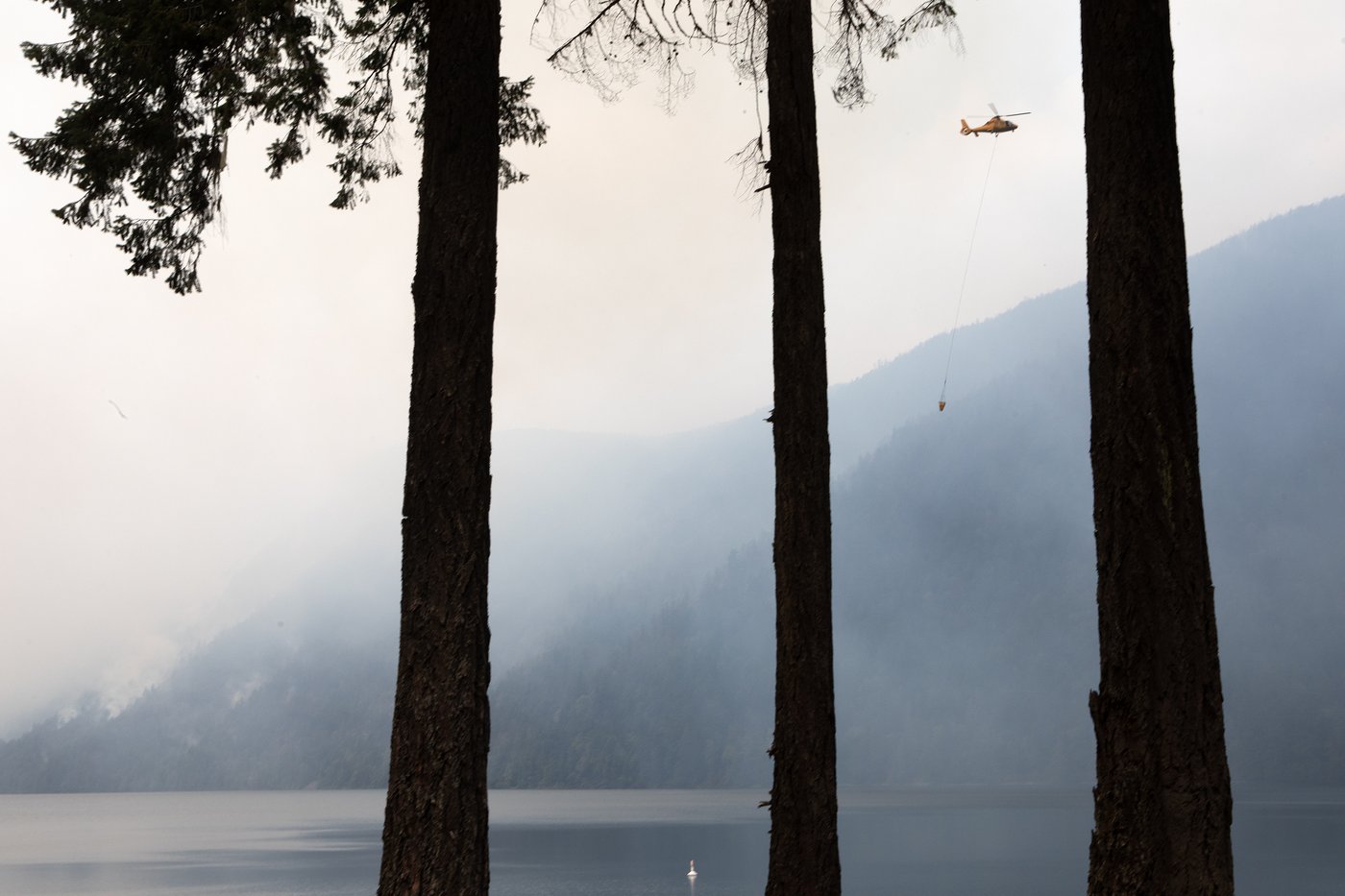Le temps humide des derniers jours a permis de maîtriser des feux de forêt en C.-B.