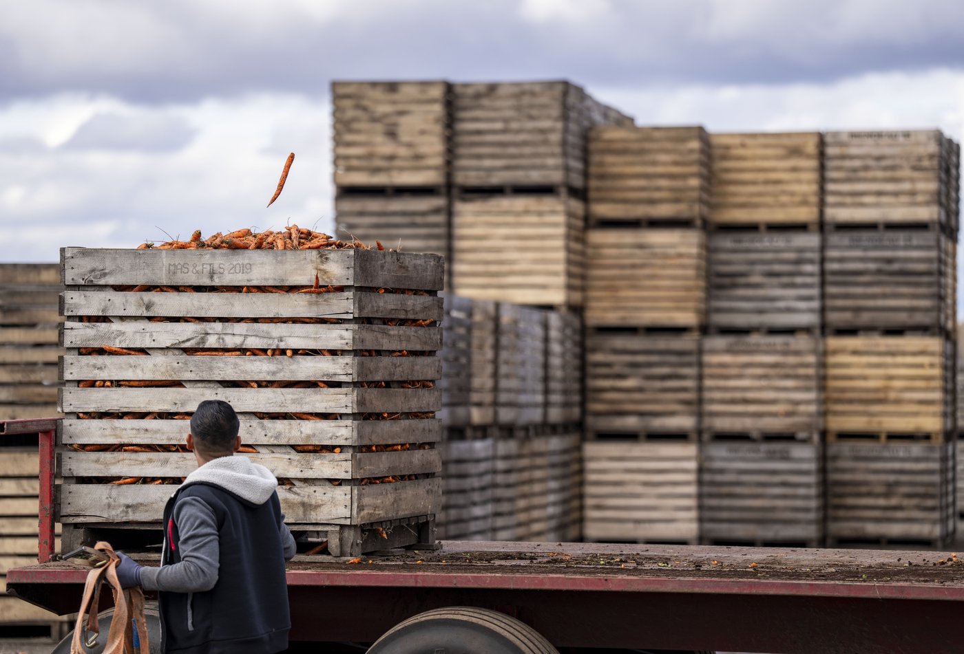 L'Union nationale des fermiers demande un revenu annuel garanti pour les agriculteurs