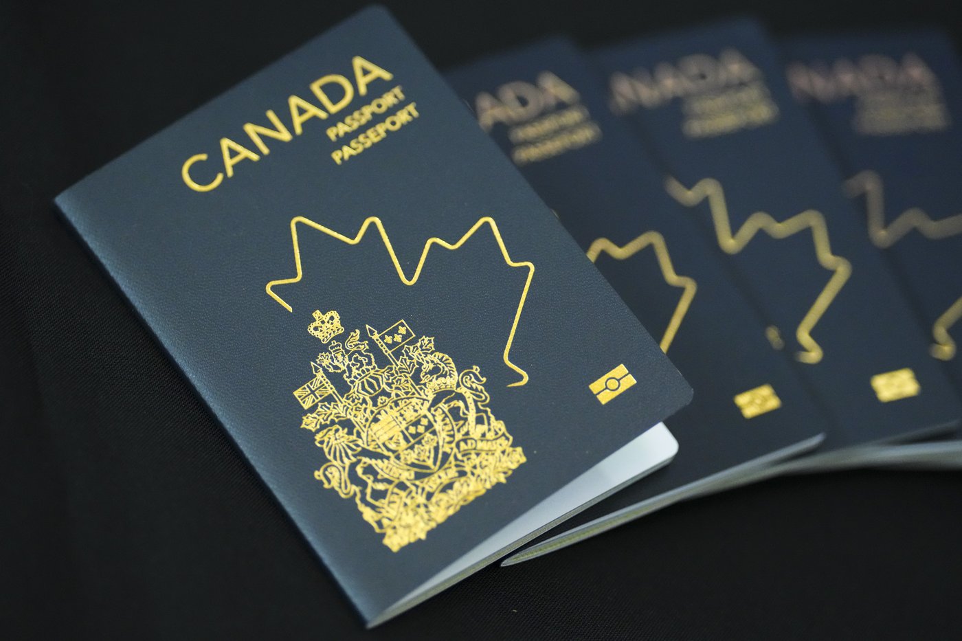 Les avocats en immigration dénotent un nombre élevés de contrôles de sécurité du SCRS