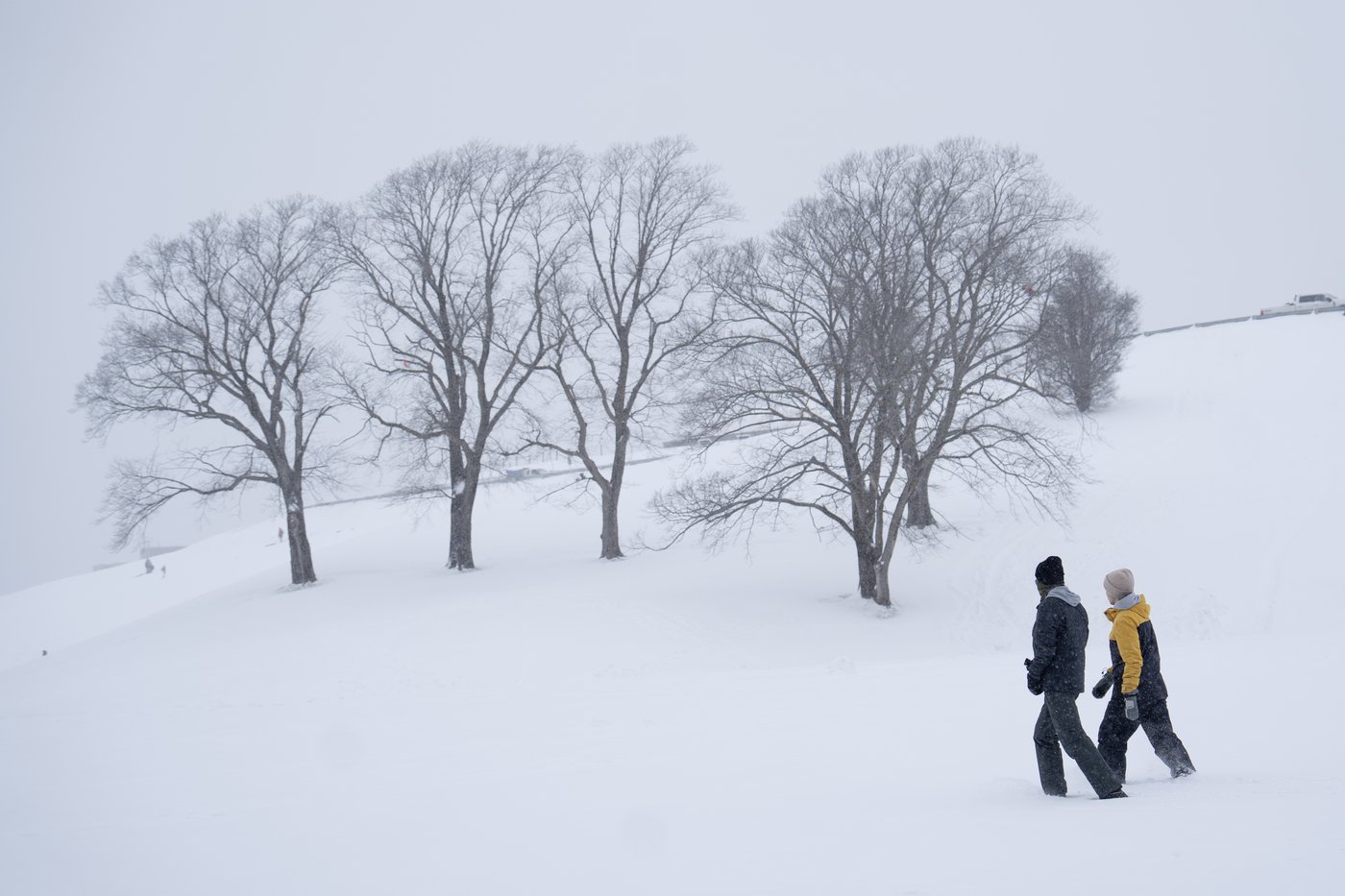 Des secteurs du Canada atlantique se préparent à une autre tempête hivernale