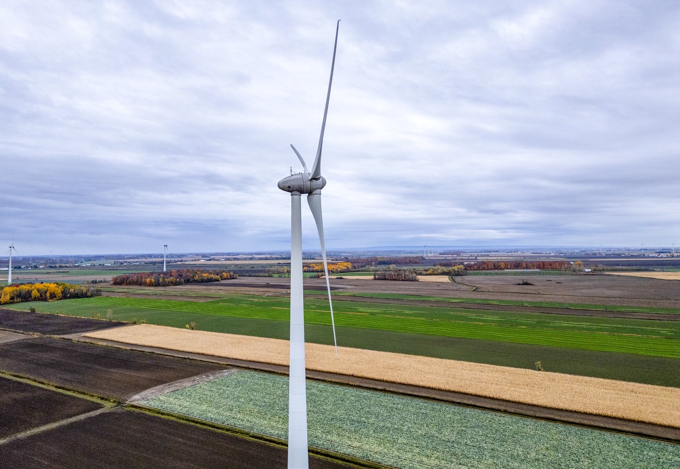 Éoliennes: le gouvernement «fait beaucoup d'efforts» pour réduire les délais