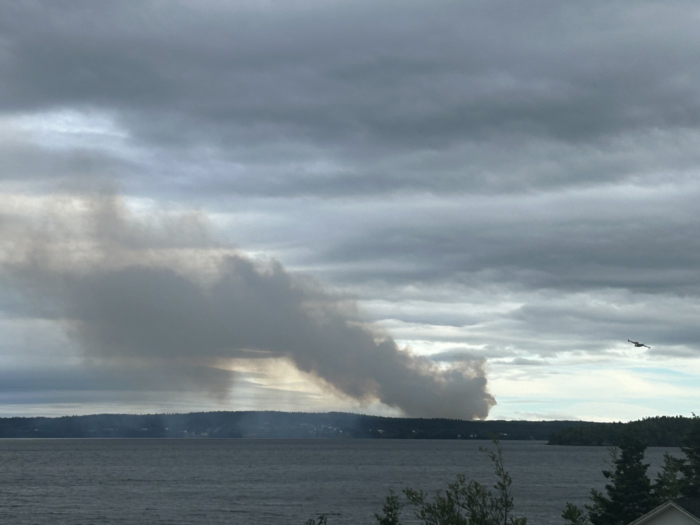 T.-N.-L.: levée de l'ordre d'évacuation pour incendie de forêt à Lethbridge