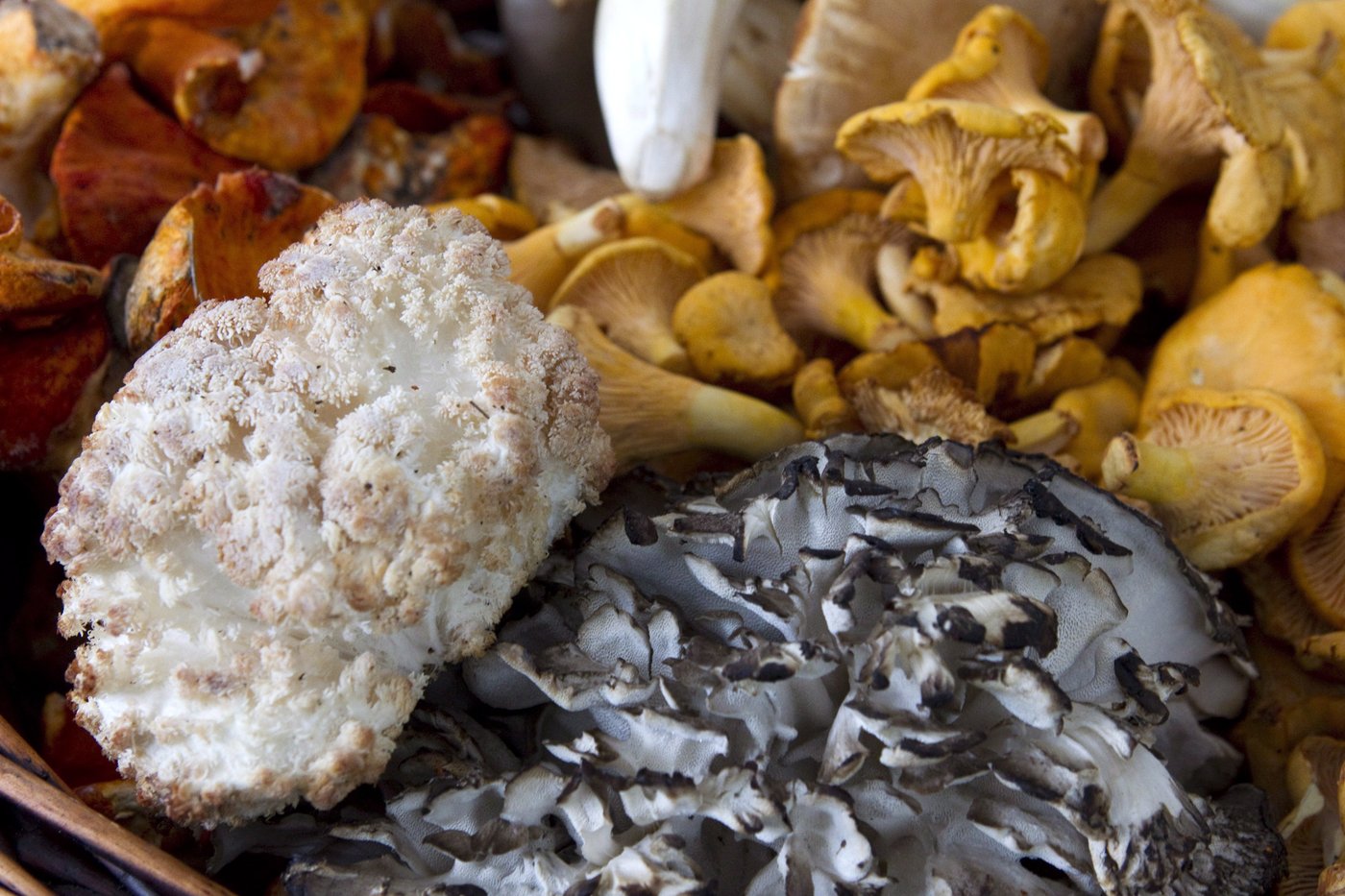 Les É.-U. poursuivent leur enquête de dumping sur les champignons canadiens