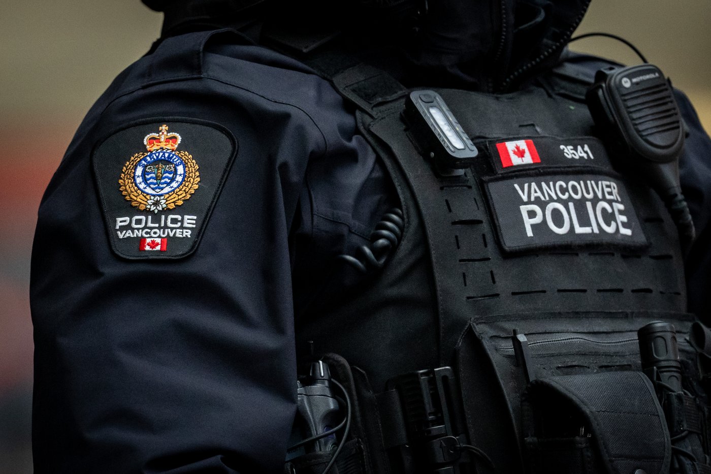 La police a repéré un ours noir errant dans la zone urbaine de Vancouver