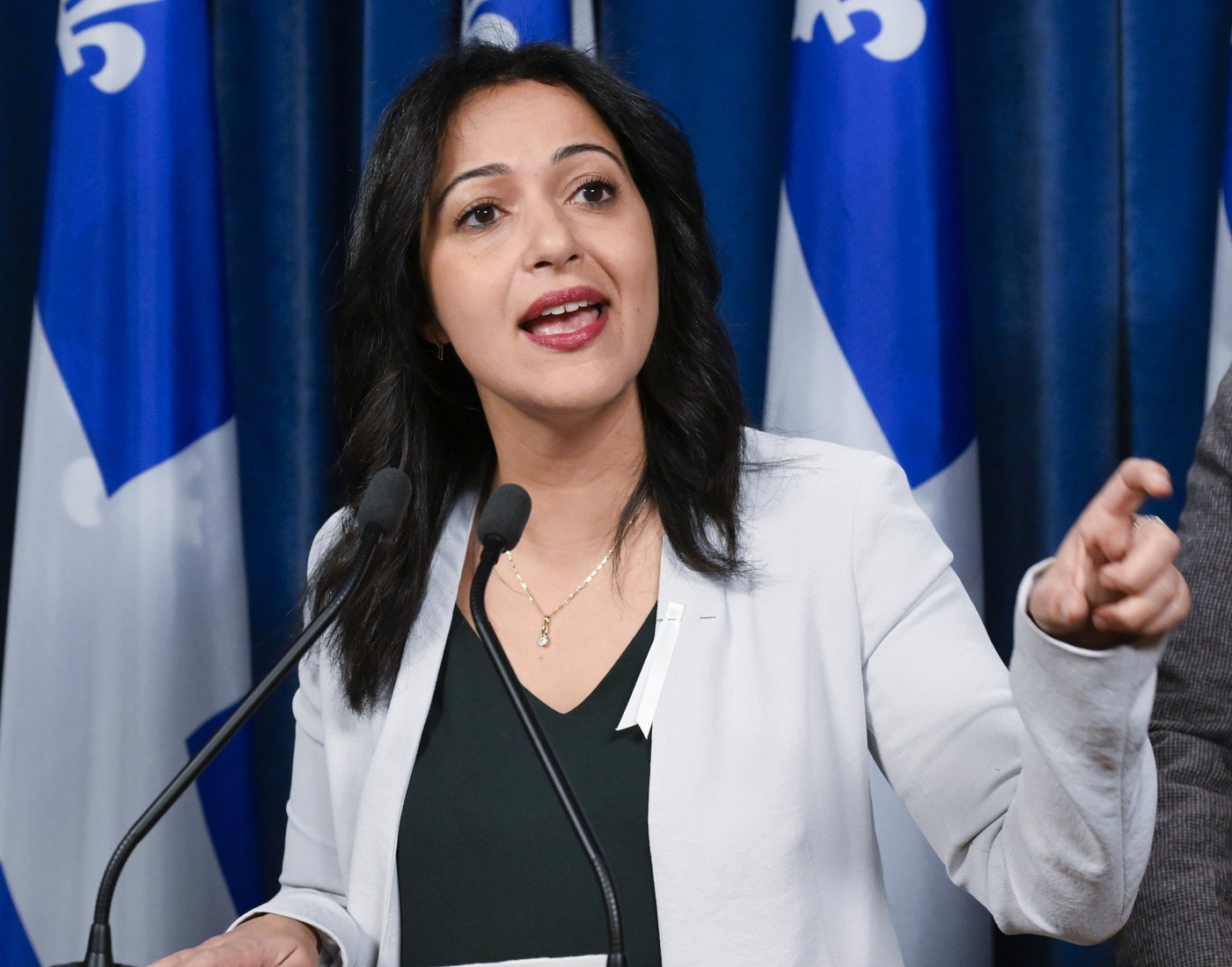 Québec solidaire propose de taxer davantage les grandes fortunes
