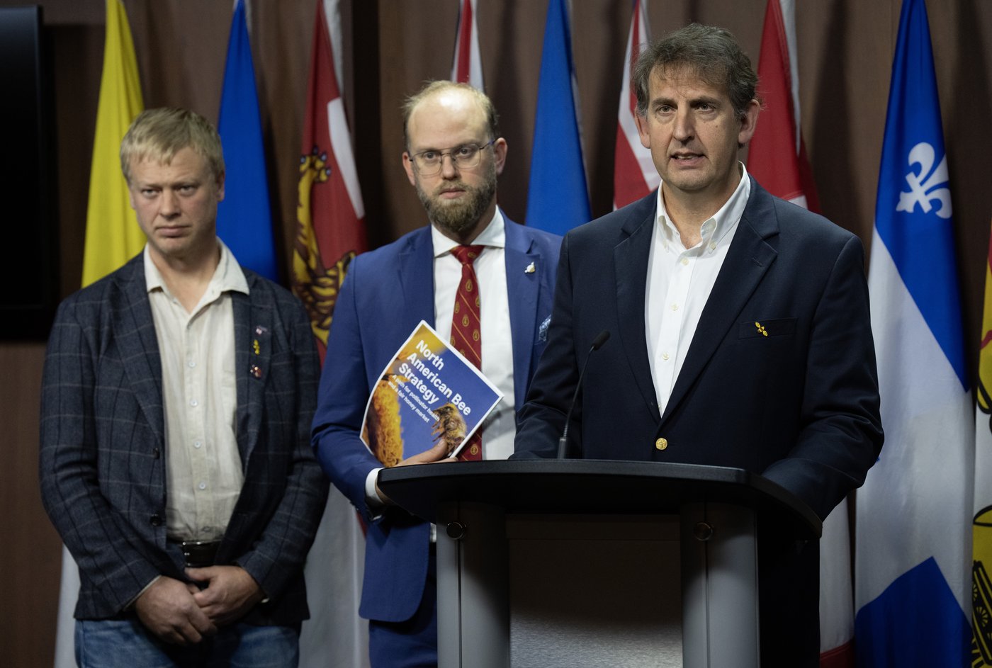 Des restrictions à l'importation d'abeilles demandées pour éviter un parasite
