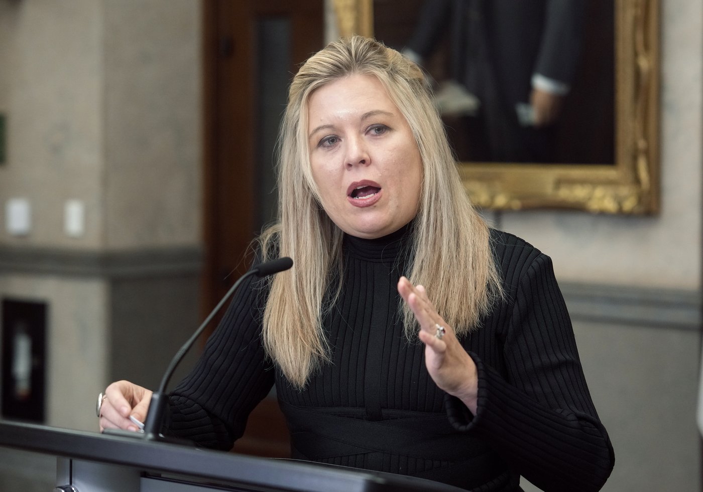Les conservateurs veulent une refonte des demandes d'asile dans le projet de loi C-12