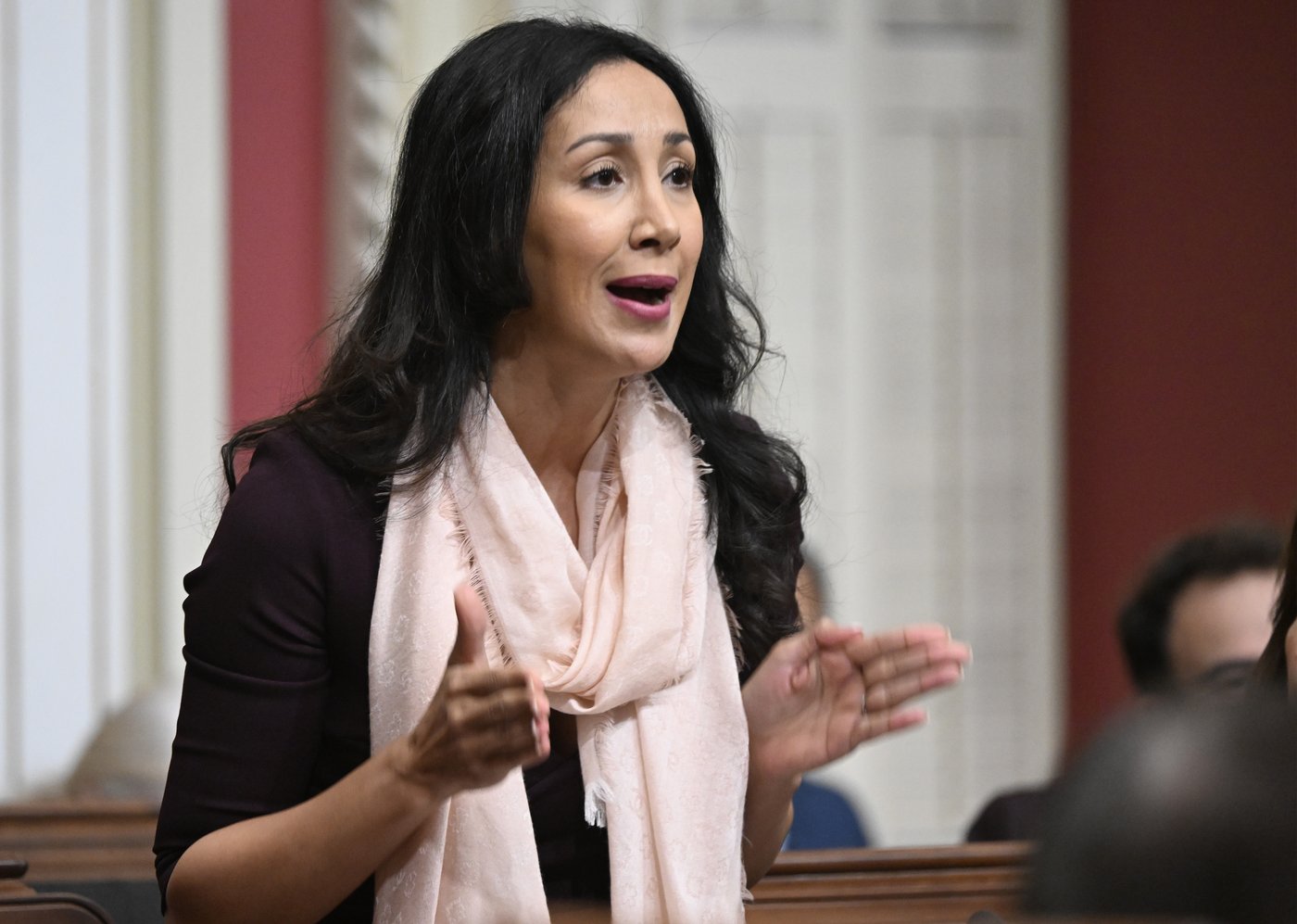 Selon Rizqy, Hinse essayait de contourner les règles de l'Assemblée