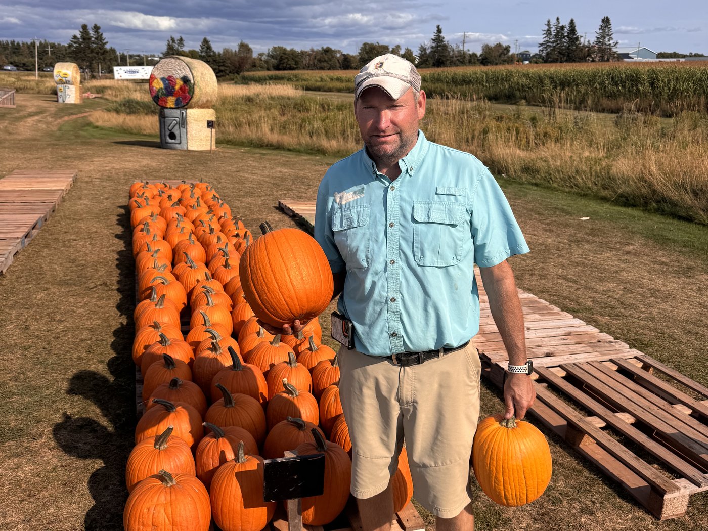 La récolte de citrouilles au pays est menacée par la sécheresse