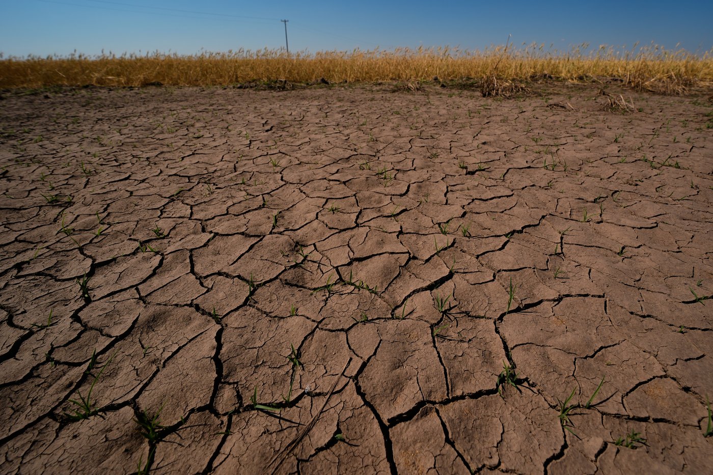 Climat: quand le capital ne reflète plus les risques réels