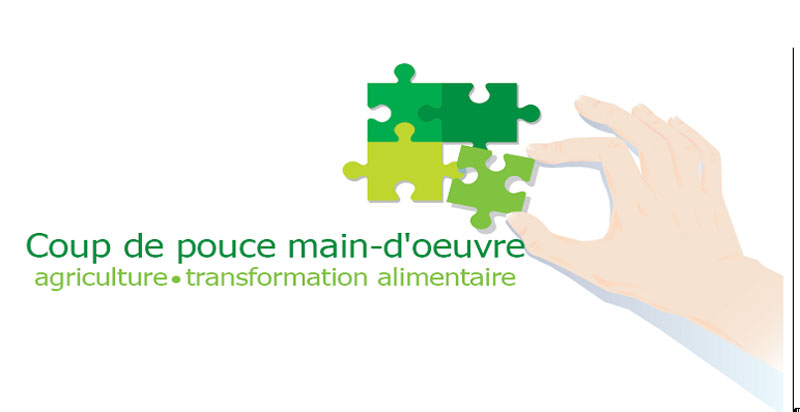 Un coup de pouce à la main-d’œuvre pour les entreprises en agriculture et en transformation alimentaire