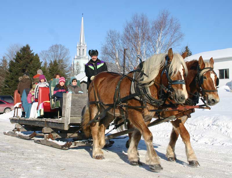 Une réussite pour Carnaval de Saint-Gédéon