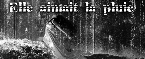 Elle aimait la pluie : Un spectacle réussi et original