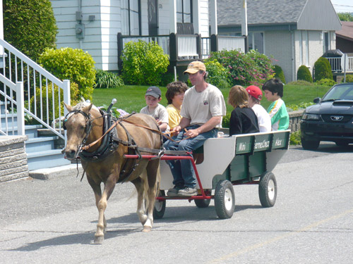 28e édition de la Fête au village