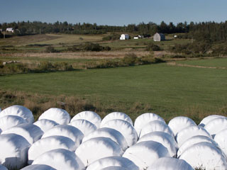 Saint-Georges récupérera les plastiques d’ensilage de foin