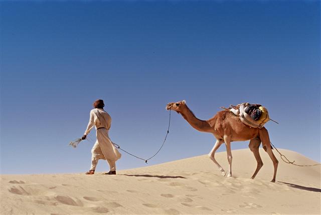 Le Sahara, là où vivre est un art