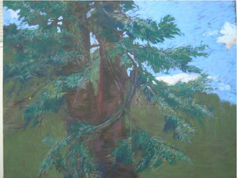 Exposition de pastels de Guylaine Jacques à la Banque Royale