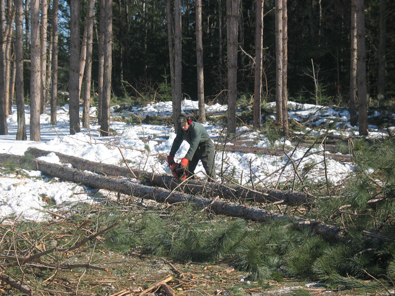 L’Association des producteurs de bois et boisés choisit la norme FSC