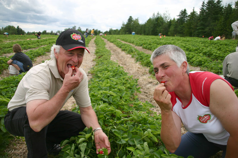 « Les producteurs ont gagné leurs fraises cette année » — André Carrier du MAPAQ
