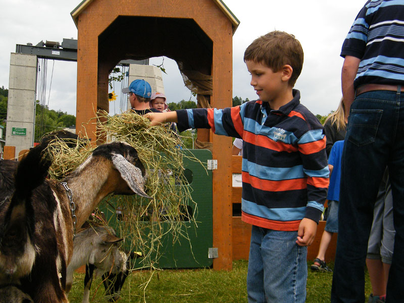Quand l'humain rencontre l'animal de ferme