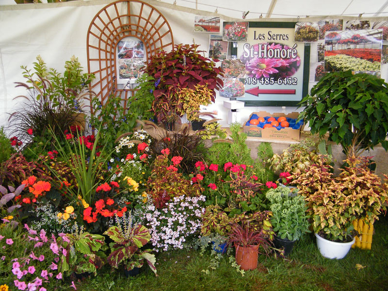 La foire horticole a de quoi faire fleurir la Beauce