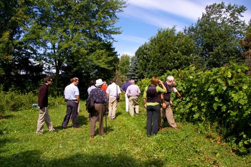 Prenez la route des vins