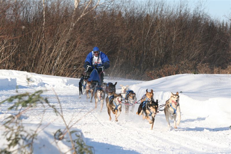 Plus de mille chiens attendus à Saint-Just-de-Bretenières dès vendredi