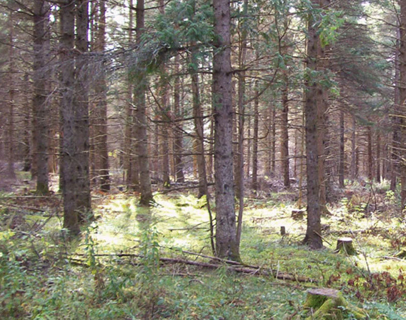 Un projet d’aménagement sur le bassin versant de la rivière Etchemin