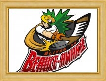 Les Élites de Beauce-Amiante disputeront des matchs cruciaux à Saint-Georges
